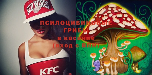 гашик Балабаново