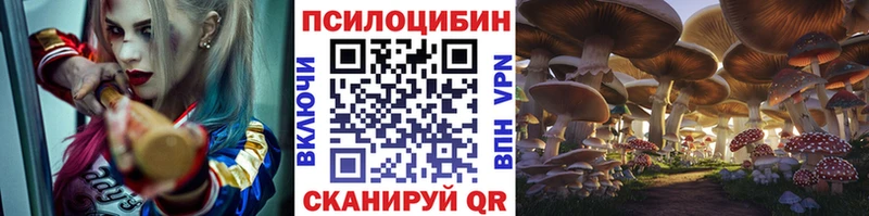 что такое   мориарти Telegram  Псилоцибиновые грибы мухоморы  Черняховск 