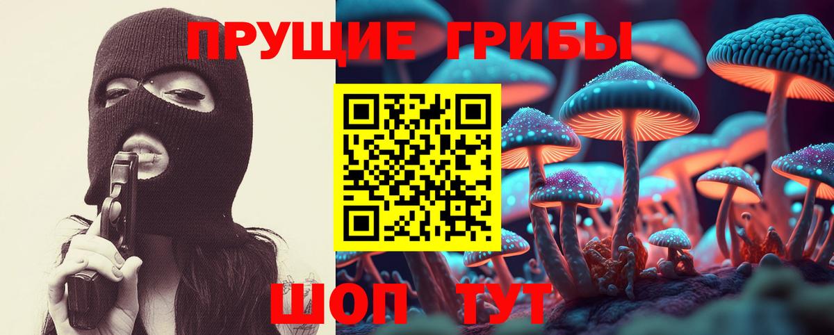 Черняховск  Псилоцибиновые грибы Psilocybe  Псилоцибиновые грибы ЛСД  Вход с VPN 