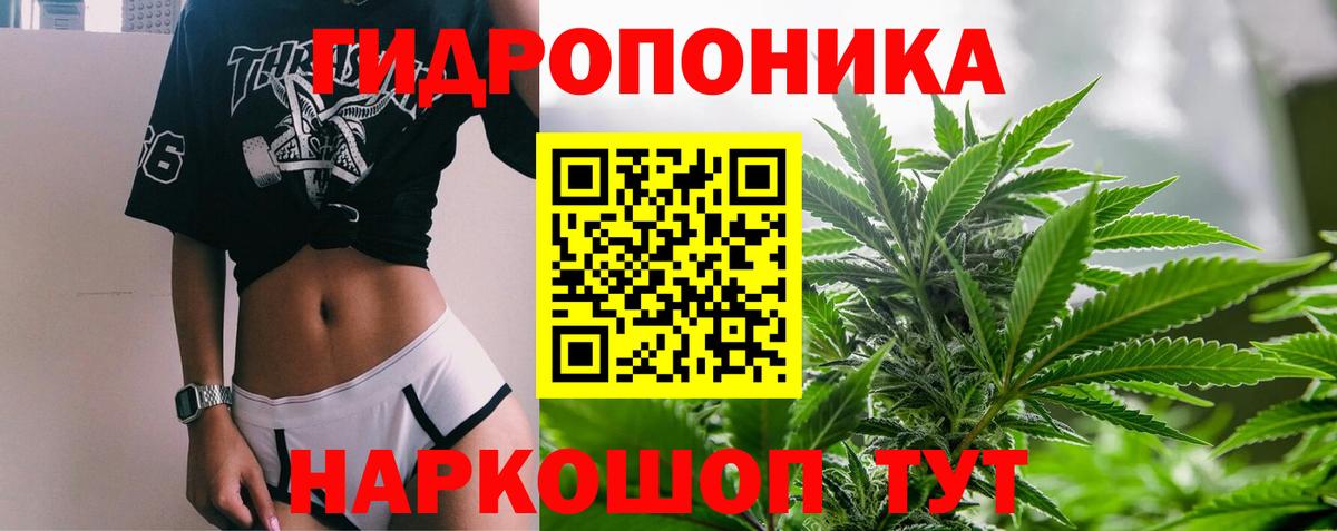 Бошки марихуана план Черняховск